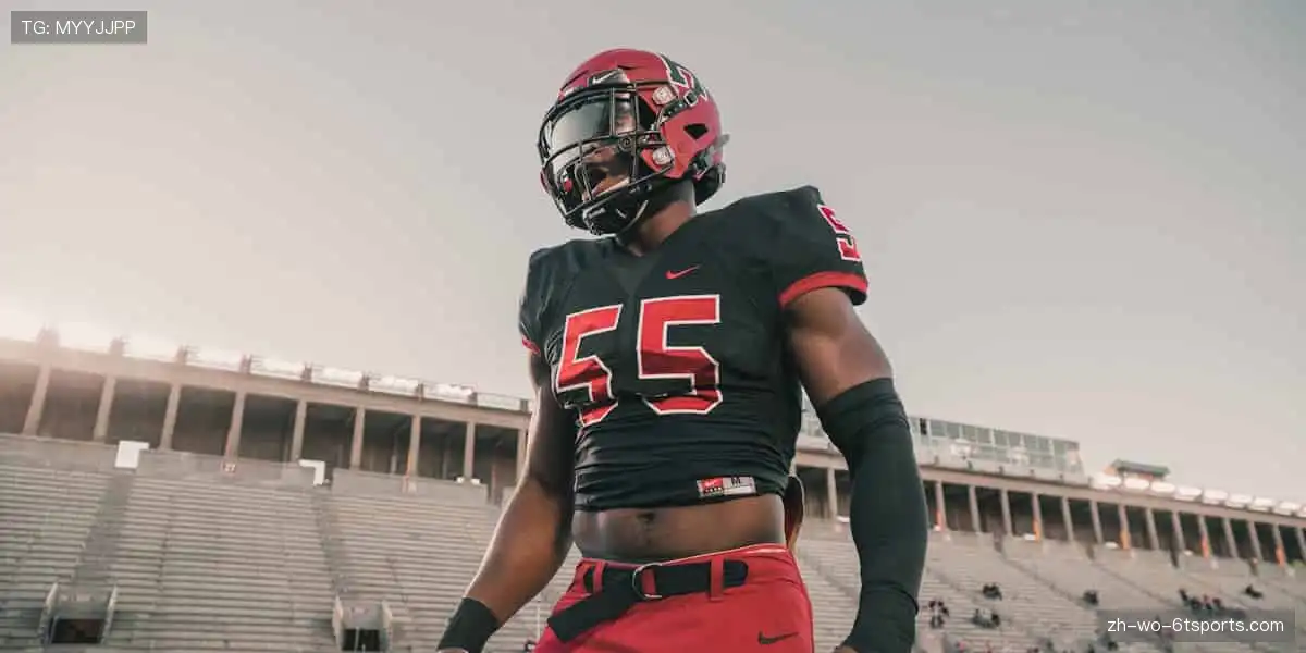 🏆见证荣耀时刻，热血永不落幕！🔥